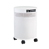 Airpura C600-DLX Air Purifier for VOCs and Chemical Extra
